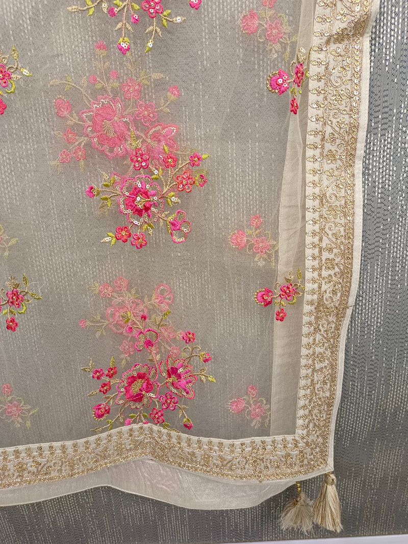 Desi Butik's  Beige Embroidered Net Dupatta with Golden Border & Tassels DB2248