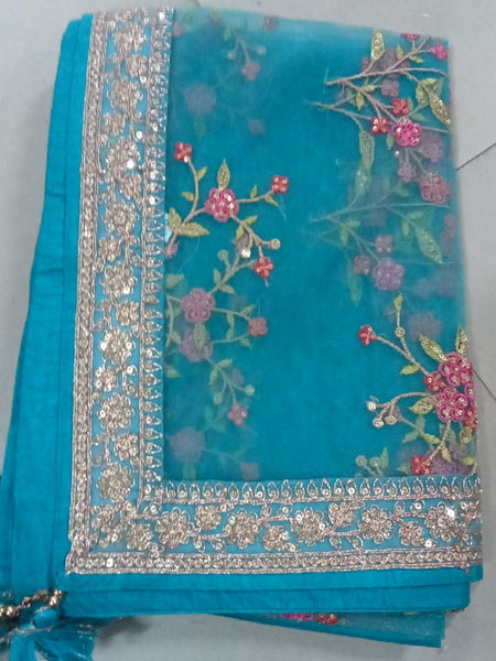 Women’s Sky Blue Floral Embroidered Net Dupatta with Heavy Border & Tassels DB2245