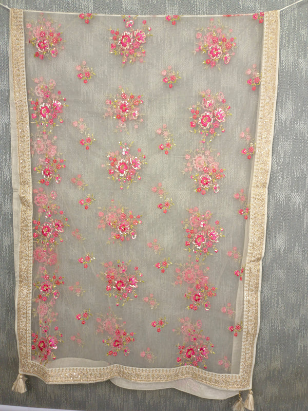 Desi Butik's  Beige Embroidered Net Dupatta with Golden Border & Tassels DB2248