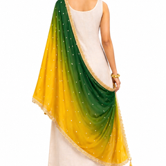 Desi Butik's Green-Yellow Ombre Dupatta DB2253
