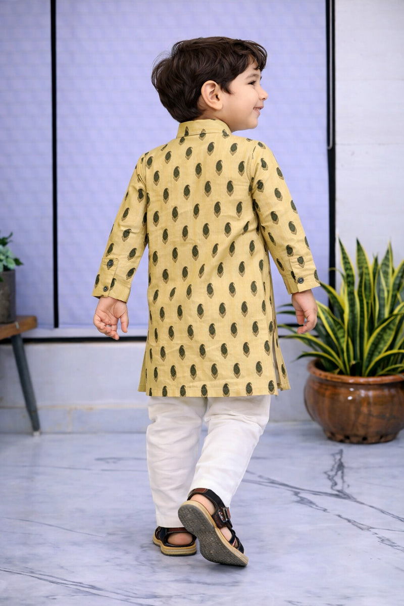 Boys  Printed Pure Cotton Ethnic Kurta Set with Trousers